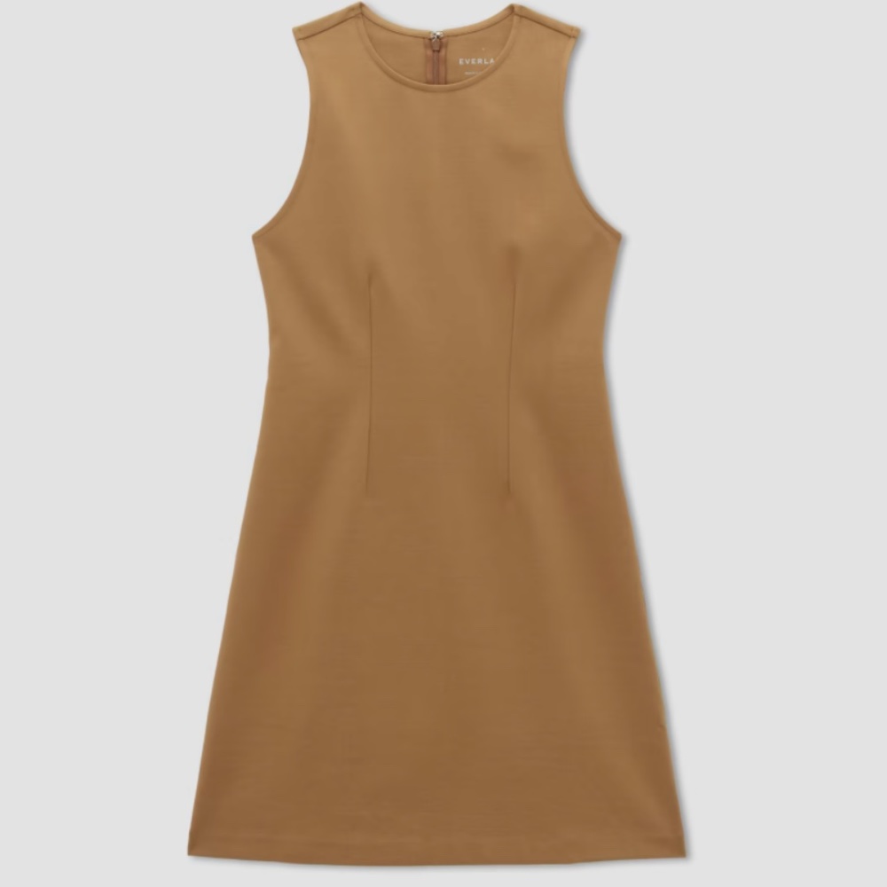 Everlane Dream Shift Dress